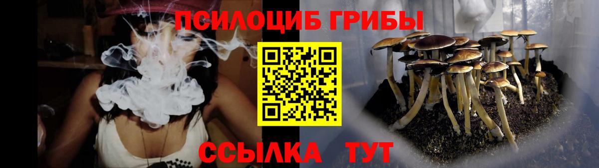 Галлюциногенные грибы Cubensis Сосновый Бор