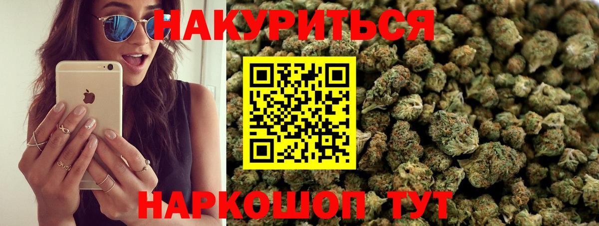 МАРИХУАНА гибрид Сосновый Бор